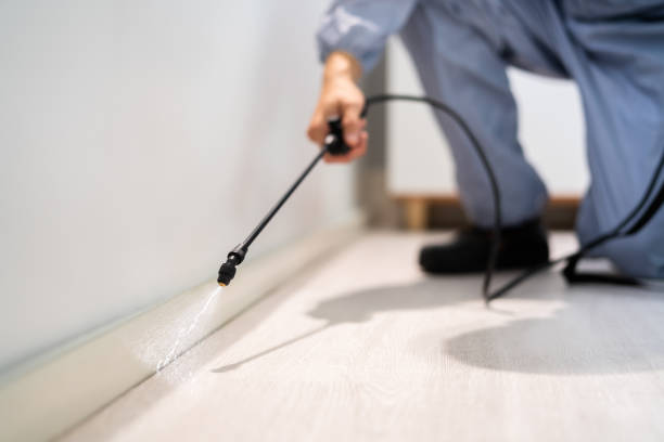Licensed Cockroach Control service in Greenville, NC - Nex Pest Control