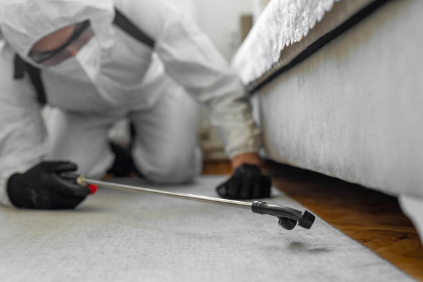 Professional Cockroach Control technician working in Greenville, NC
