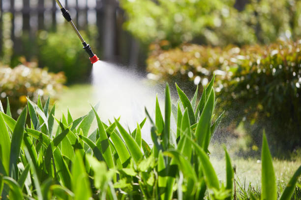 24/7 Emergency Cockroach Control experts in Greenville, NC