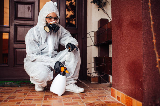 Reliable Cockroach Control contractor in Greenville, NC by Nex Pest Control