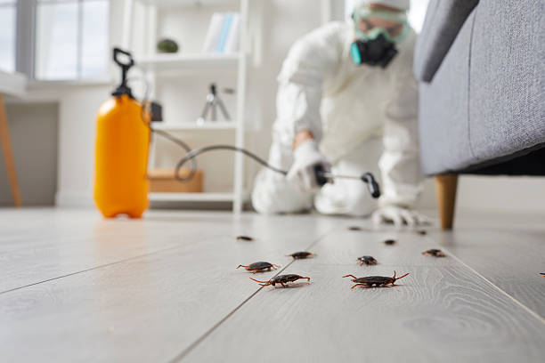 Affordable Cockroach Control solutions in Greenville, NC